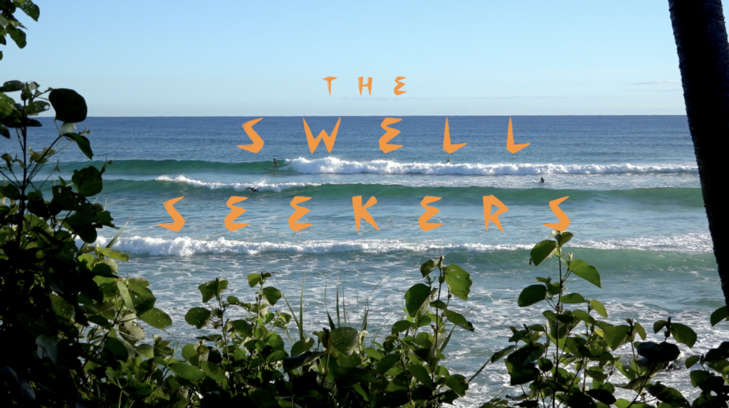 The Swell Seekers